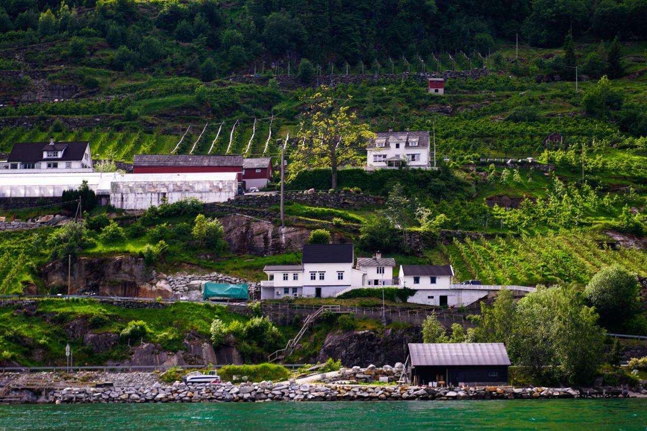 Villa Fjord House à Grimo Extérieur photo